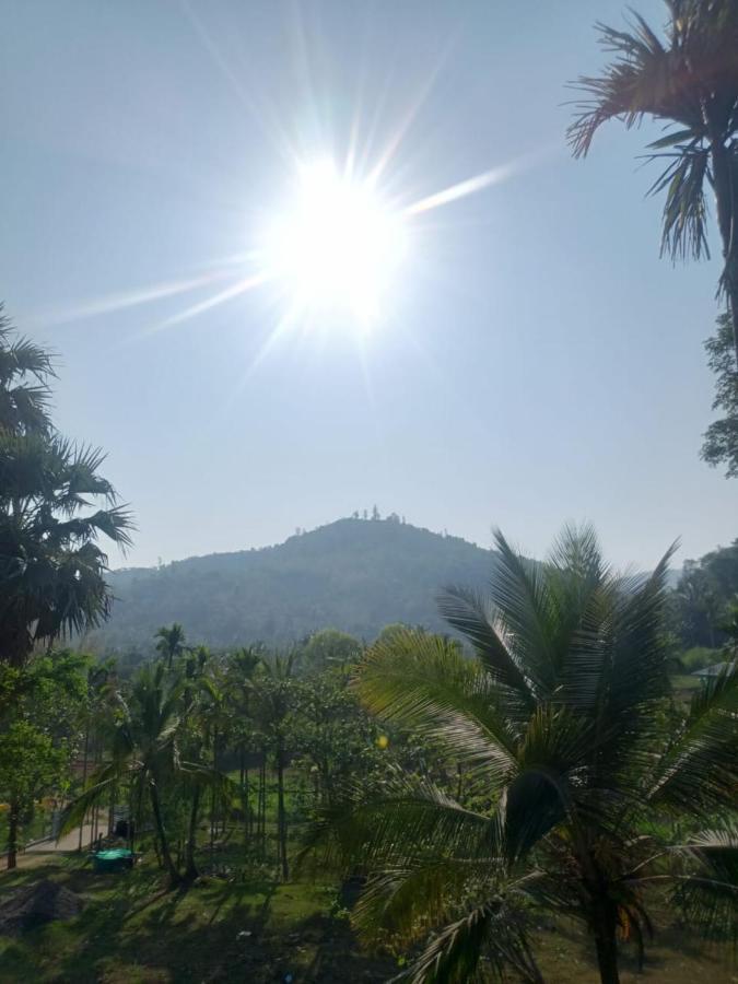 Padavayal Greens Attappadi Luaran gambar