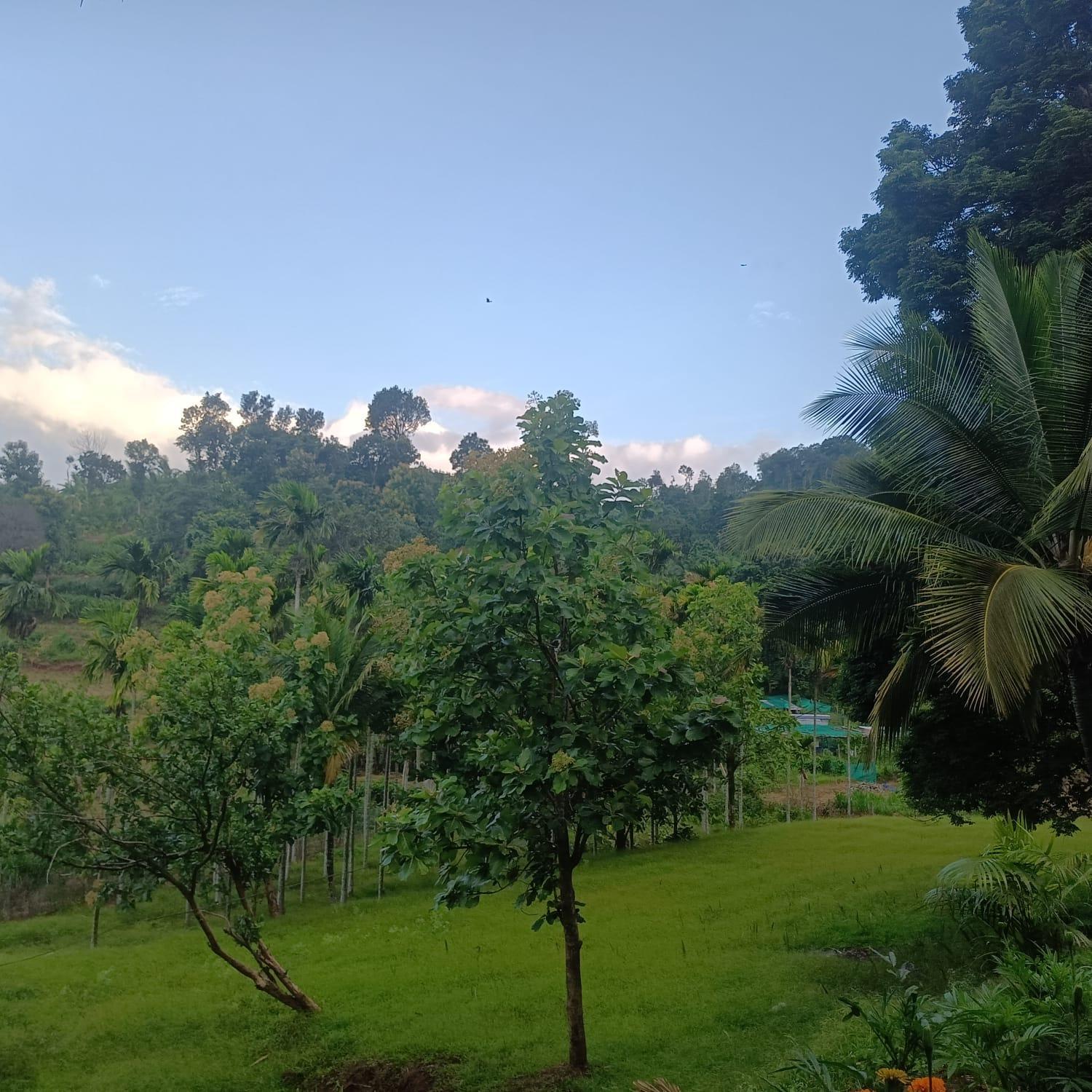 Padavayal Greens Attappadi Luaran gambar