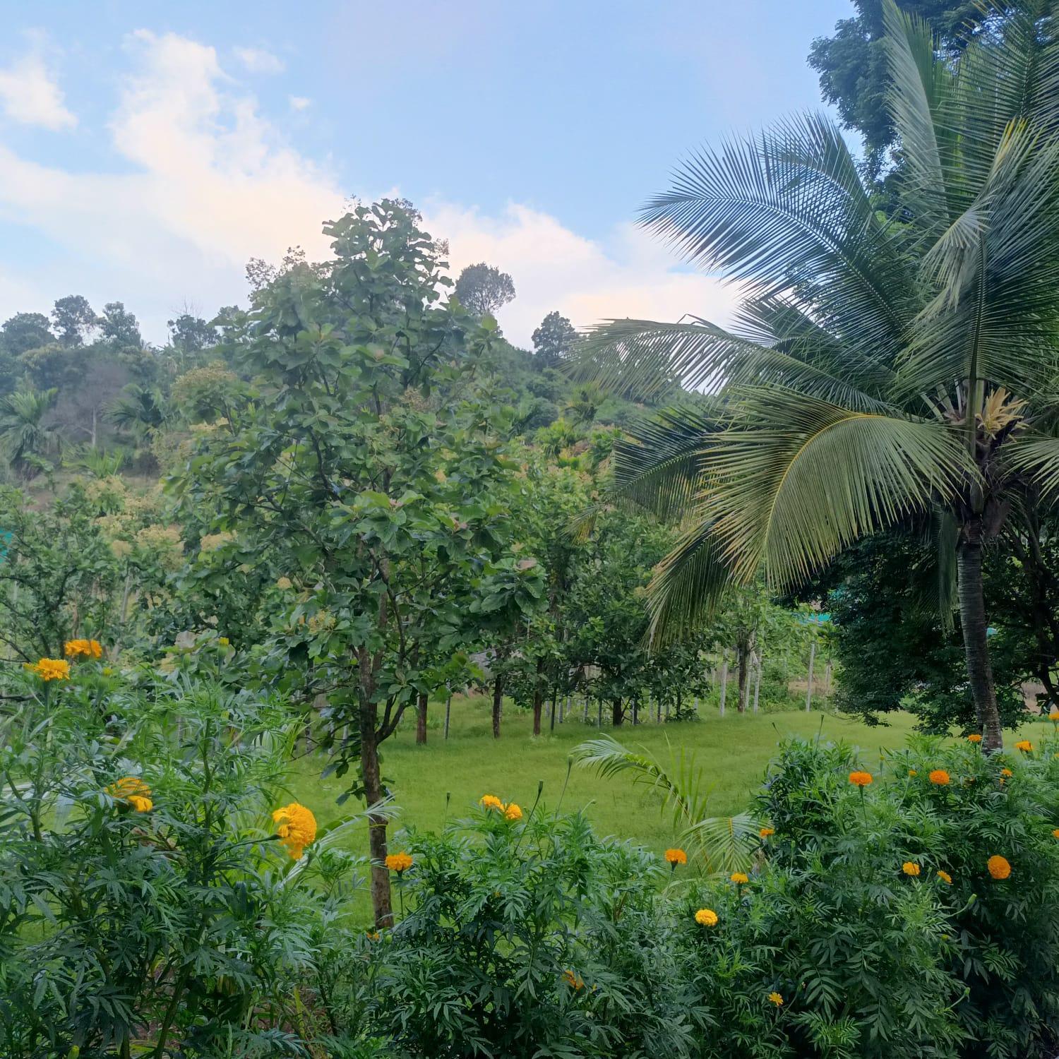 Padavayal Greens Attappadi Luaran gambar